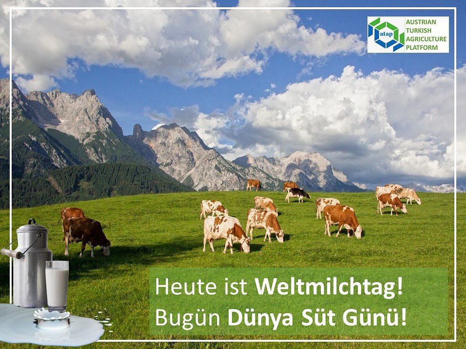 ataPlatform's tweet photo. 🇹🇷 Dünya Süt Gününde, emekleriyle üretime katkı sağlayan tüm çiftçilerimize teşekkür ediyoruz.

🇦🇹 Am Weltmilchtag bedanken wir uns bei allen Bäuerinnen &amp; Bauern für ihren wertvollen Beitrag zur Landwirtschaft &amp; Lebensmittelversorgung.

#DünyaSütGünü #WorldMilkDay #Weltmilchtag https://t.co/tZ203uOa8C