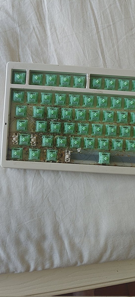 PerianistMan's tweet photo. clear ⌨️❤️ https://t.co/Fpj1RrA4YX