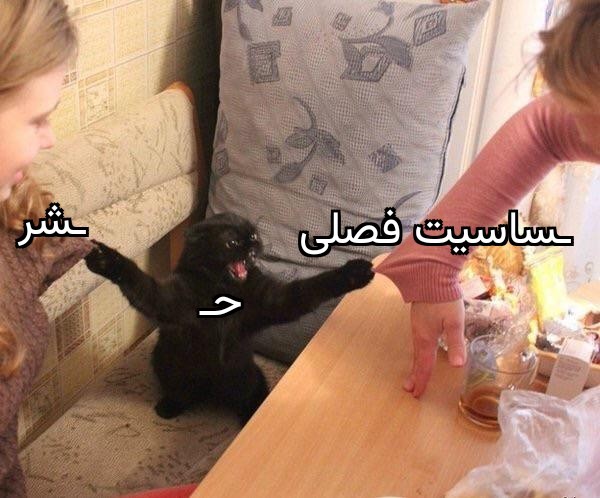 واعظ شیرین سخن tweet media