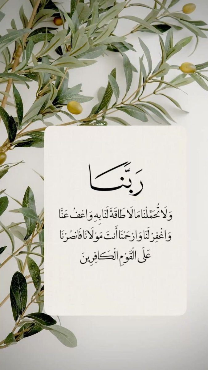 Ms_Rafeef1's tweet photo. حين يضيق صدرك من الحياة لا تبحث كثيرًا عن مهرب بل ابحث عن سجدة طويلة تُعيد لقلبك اتزانه وسلامه . https://t.co/z19Nqn6q2a