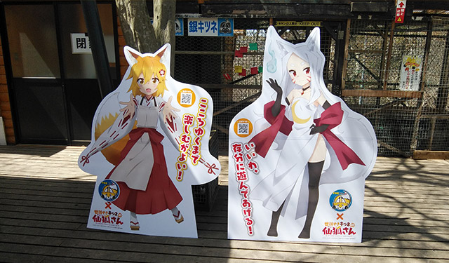 senkoshusband's tweet photo. #仙狐さん #世話やきキツネの仙狐さん #狐 #キツネ #アニメ #ロリ #日常系 #癒し #ロリばばあ #仙狐 #ロリババア #Senkosan #Senko #SewayakiKitsunenoSenkosan #MeddlesomeKitsuneSenkosan #iyashikei #fox #kitsune https://t.co/seotBBfPqE