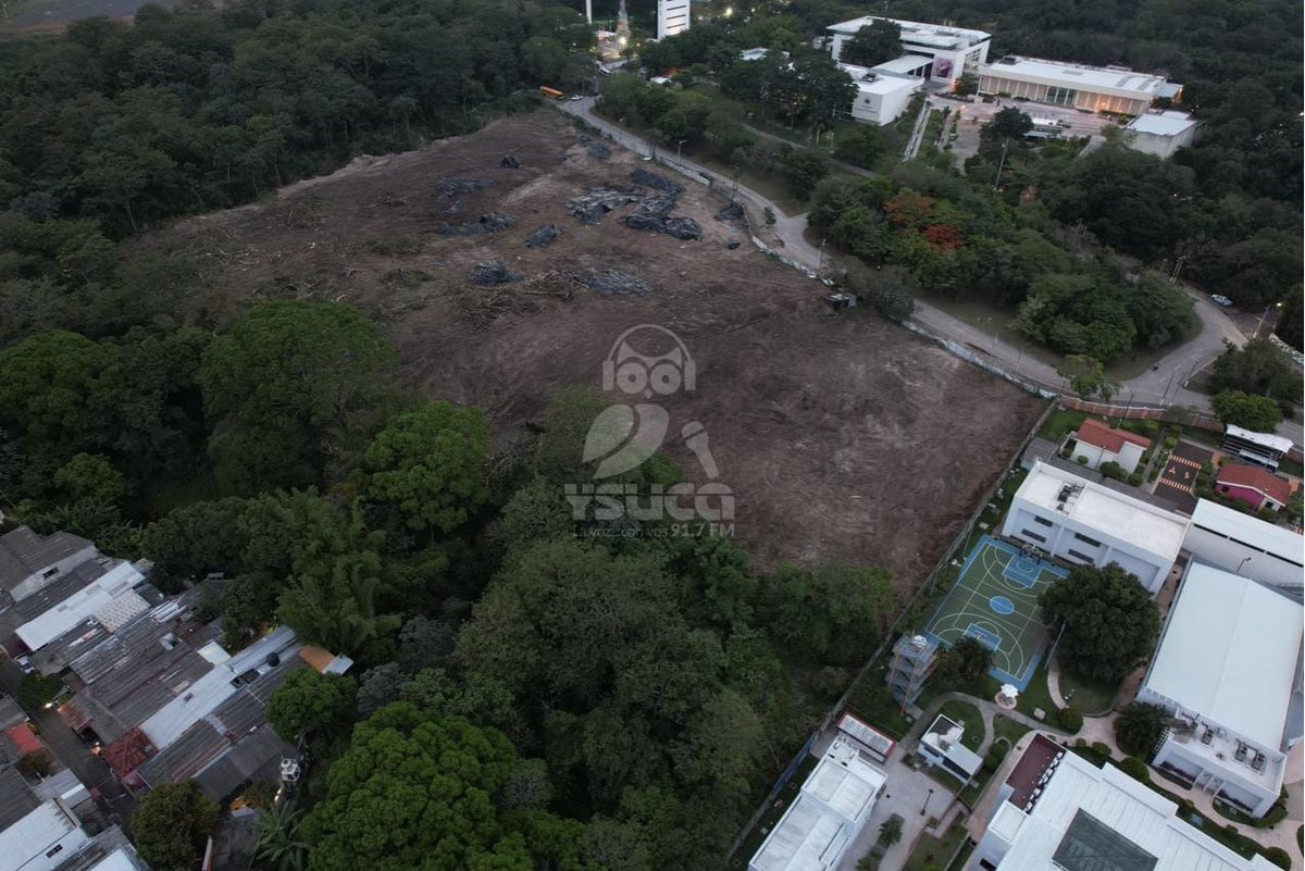 Don_chuchitofv's tweet photo. Que lo diga un Bukele es el punto. No sos un cualquiera, sos alguien que tiene poder de decisión en este país y en vez de asumir el daño que tu familia está haciendo hacia nuestros ecosistemas, tratas de fomentar culpa hacia campesinos que hacen todo lo posible por sobrevivir. https://t.co/mVUUFlQWMB