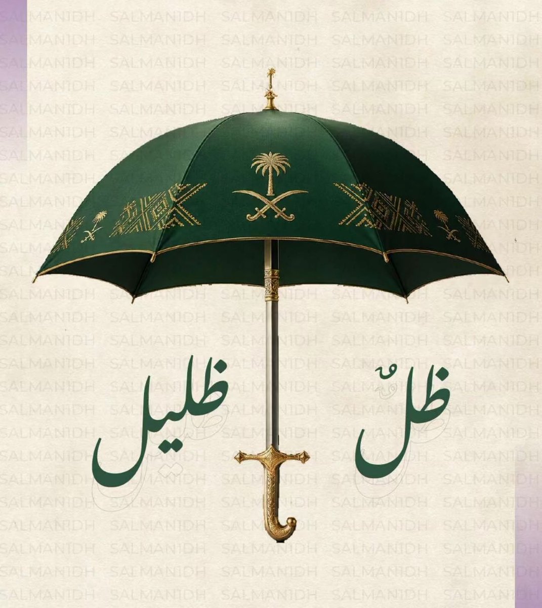 LAlshammri's tweet photo. 💚🤍🇸🇦🇸🇦🇸🇦🇸🇦🇸🇦 https://t.co/MuolD2yBtL