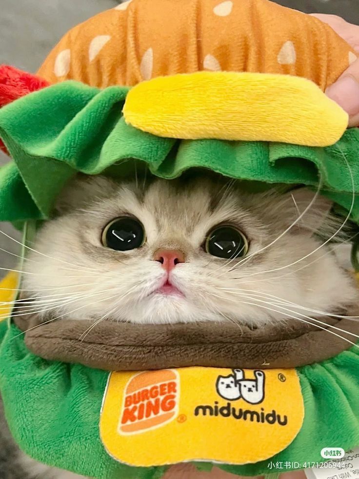 ชาเย้นหวาน ○% ˆ.ˬ.ˆ🌈✨️ tweet media