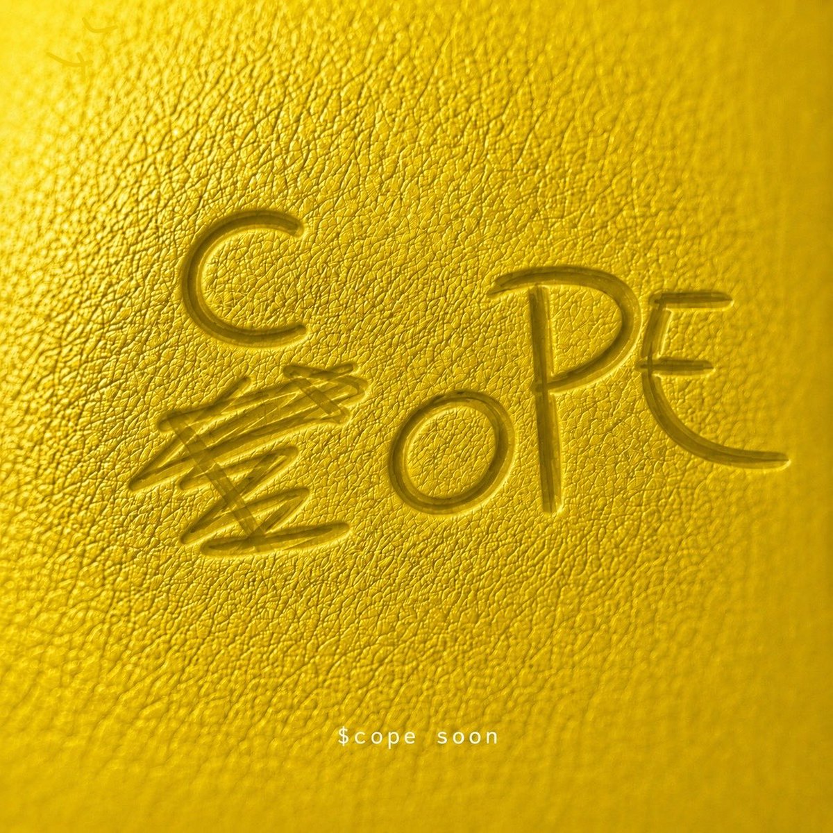The Cope Dev (@TheCopeDev) / Posts / X