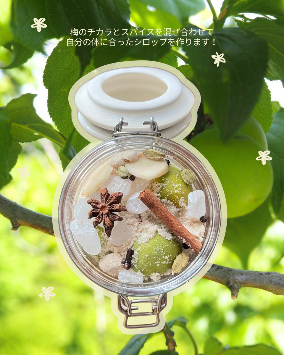 kunimi_town's tweet photo. 【親子で楽しむ！梅のクラフトシロップ作り開催】
今年の夏を元気に乗り越えるために、国見町産の梅と港屋漢方堂薬局さんのスパイスを組み合わせて、自分の体に合ったシロップを作るワークショップを開催します！
申込・詳細は下記URLより。
https://t.co/ummqSxVbdZ 
（国見町地域おこし協力隊） https://t.co/uO8hIJsAxF