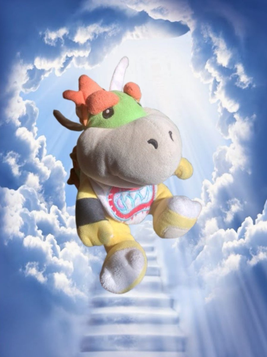 PerchTheCat's tweet photo. You don't get to have the context of these images of my plushies

#koopalings #iggykoopa #ludwigvonkoopa #bowserjr #bowserjunior #smb https://t.co/rsesUEdefp