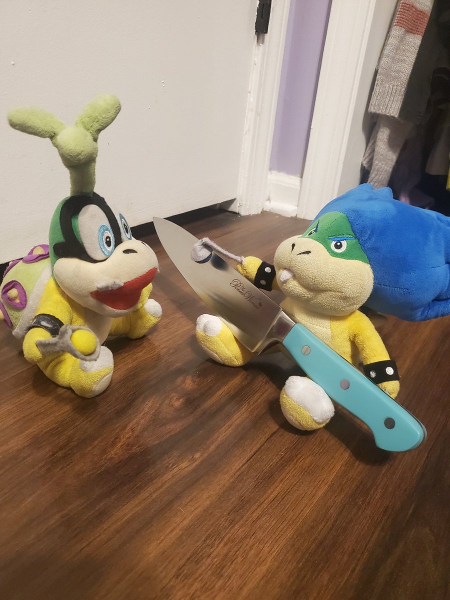 PerchTheCat's tweet photo. You don't get to have the context of these images of my plushies

#koopalings #iggykoopa #ludwigvonkoopa #bowserjr #bowserjunior #smb https://t.co/rsesUEdefp