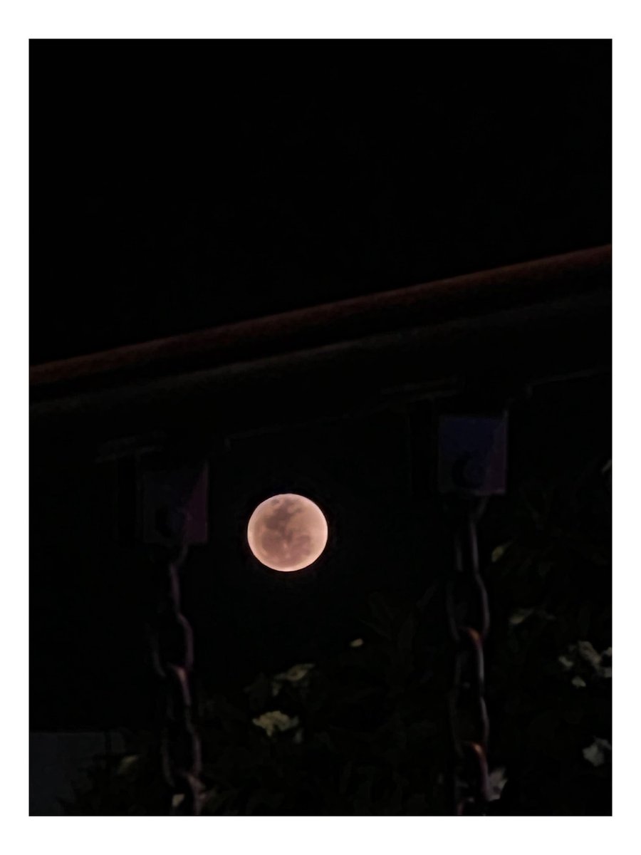 itoshac's tweet photo. Last moon of May https://t.co/1YsckYum6u