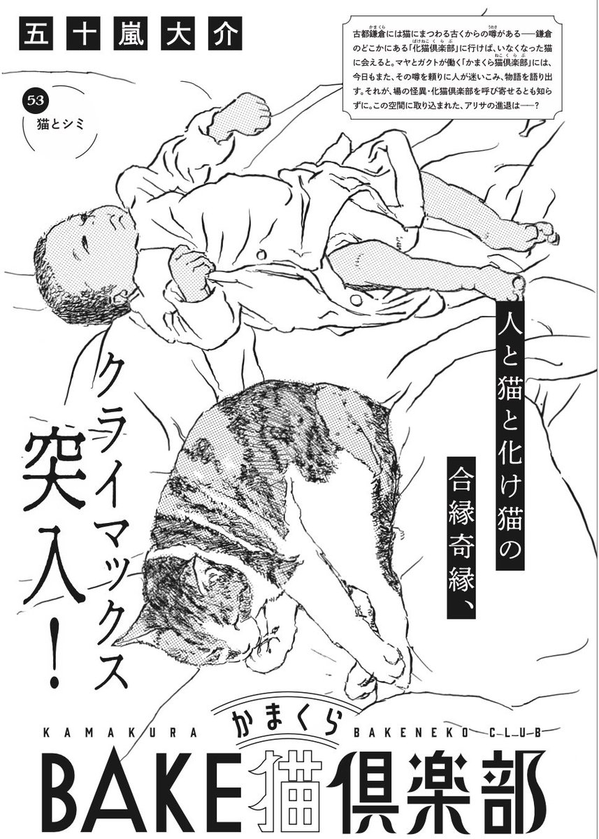 本日6/1発売。BE・LOVE https://t.co/CDTnMiQzLM 7月号に
『かまくらBAKE猫倶楽部』
第53話 猫とシミ 掲載です。
出産予定日を過ぎた頃、道路に猫の形に見えるシミがありました
最終話まであと少し。