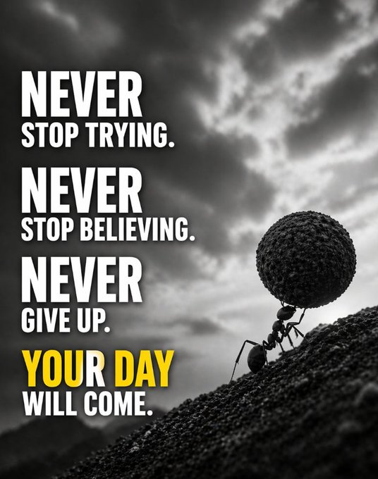 AlphaWisdom26's tweet photo. Never Give up https://t.co/CKqpQ4GQHa