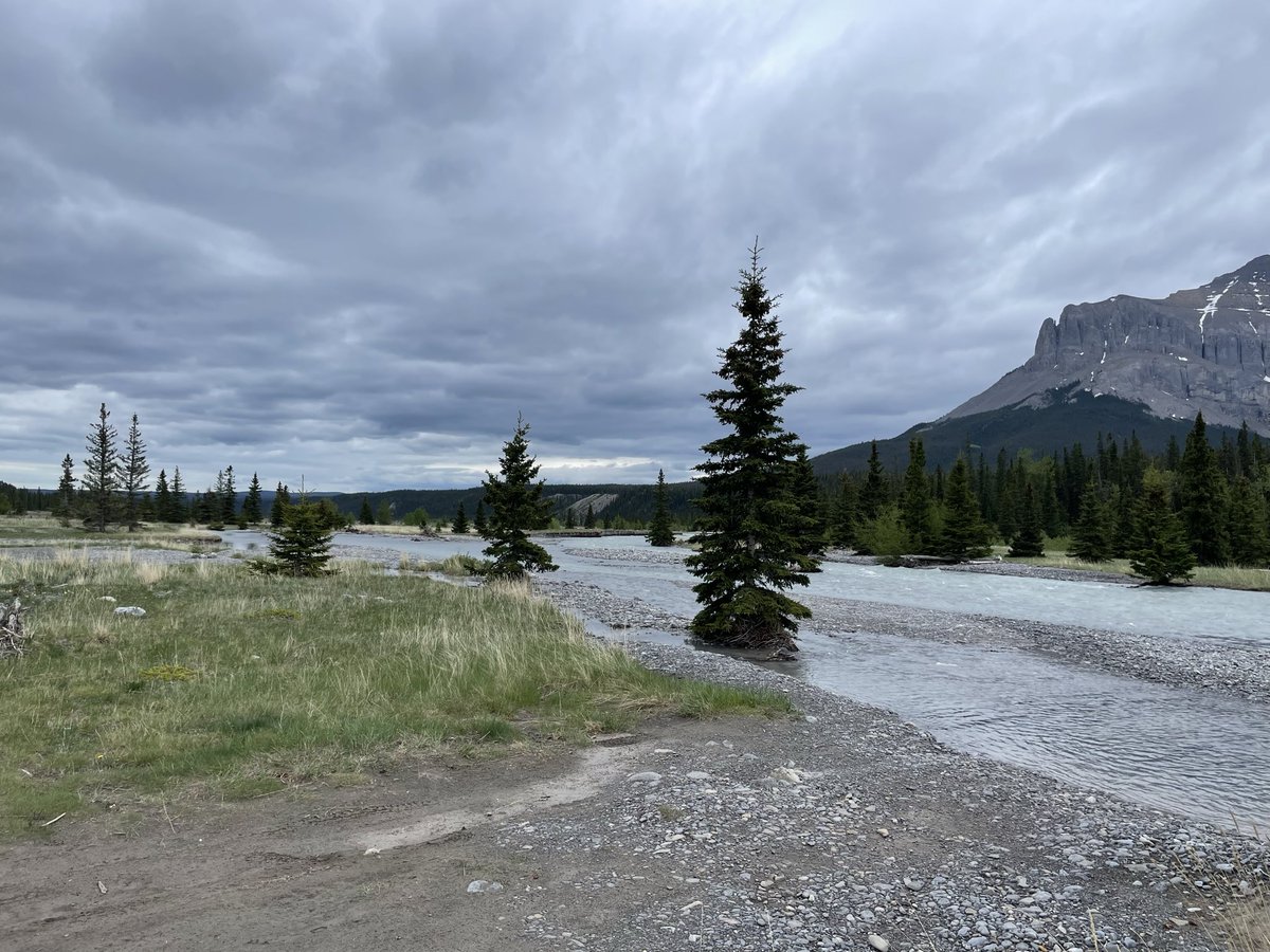 LiAlexLi's tweet photo. First summer camping https://t.co/5HrhwrZc6X