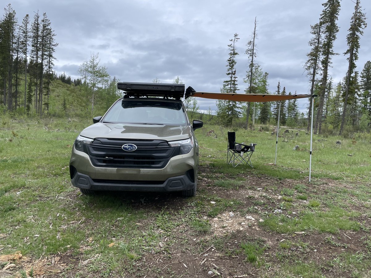 LiAlexLi's tweet photo. First summer camping https://t.co/5HrhwrZc6X