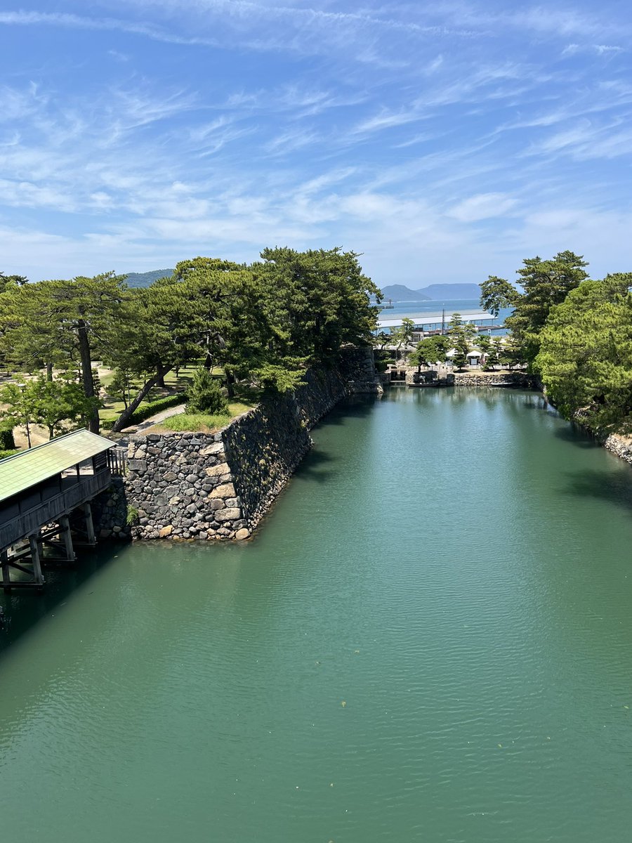 haruton_0428's tweet photo. まなふぃが行ってたので自分も行きました
鯉じゃなくて鯛か泳いでた
こういう時じゃないとお城見る機会ないからよかった👍
 #真中まな  #高松城 https://t.co/8bD5fzDT2X