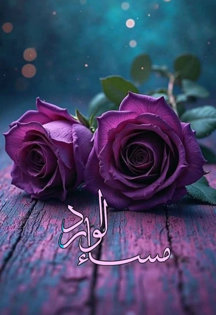 Ms_Rafeef1's tweet photo. اللهم اجعل مساءنا هذا بداية خير لا نهاية له، وافتح لنا أبواب التوفيق والرزق والطمأنينة، وبارك لنا في أهلنا وأحبتنا، وأبعد عنا الحزن وخيبات الأمل، واجعل قلوبنا معلقة بك في كل حين.

#مساء_الخير https://t.co/p74JcFy90E