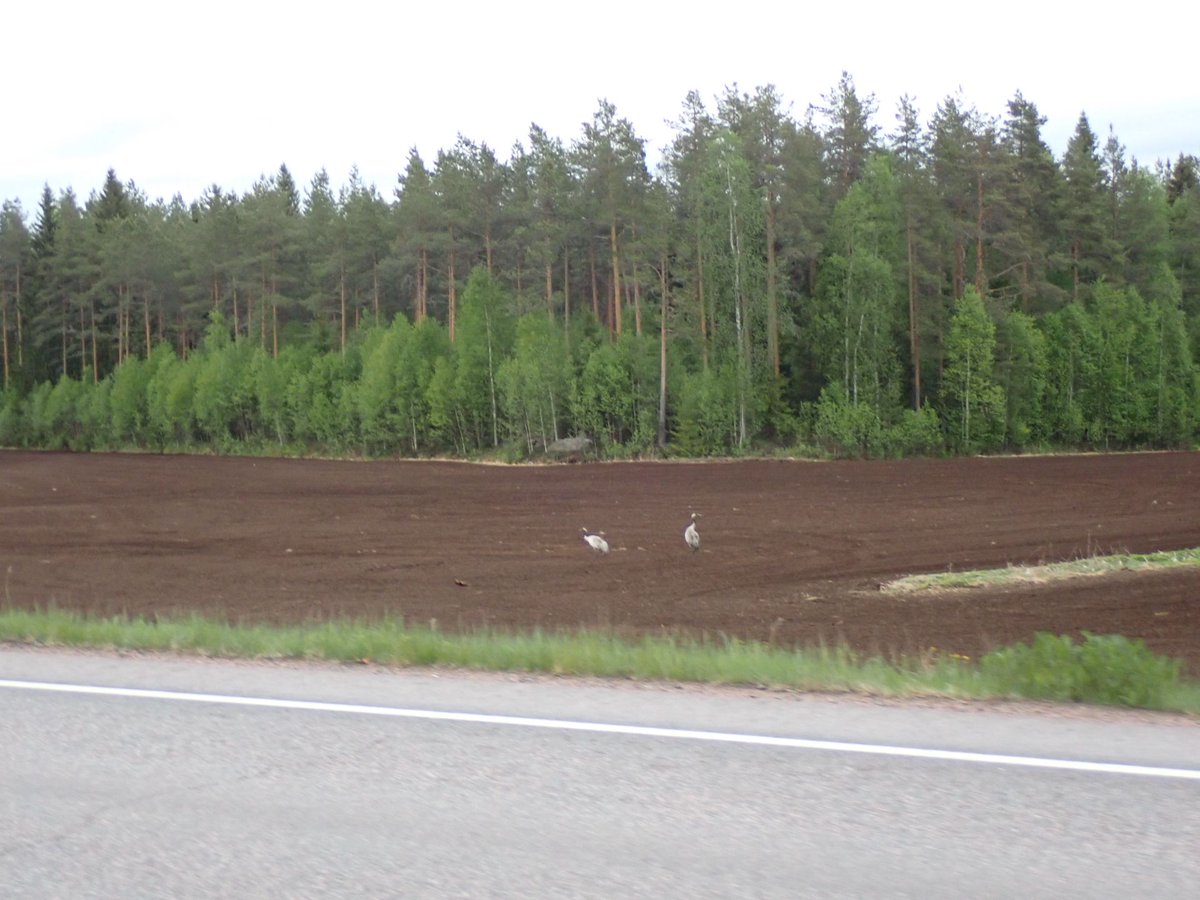 mkpaa's tweet photo. Puhe on puuroista. Noin tunnin nokoset ennen aamiaista Ylivieskassa. n. 850/1200 km. #tot1200 https://t.co/wxoeQ4HhN7