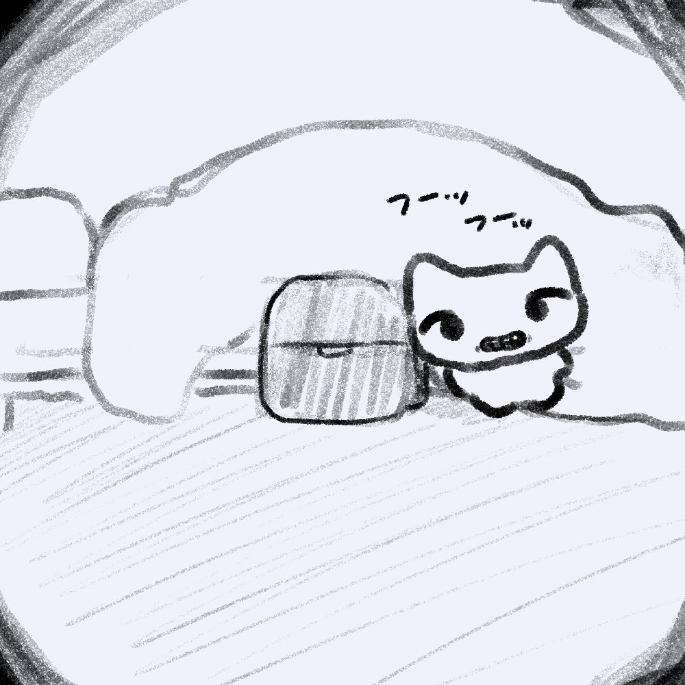 ねこちゃん (@nekochan3232) / Posts / X