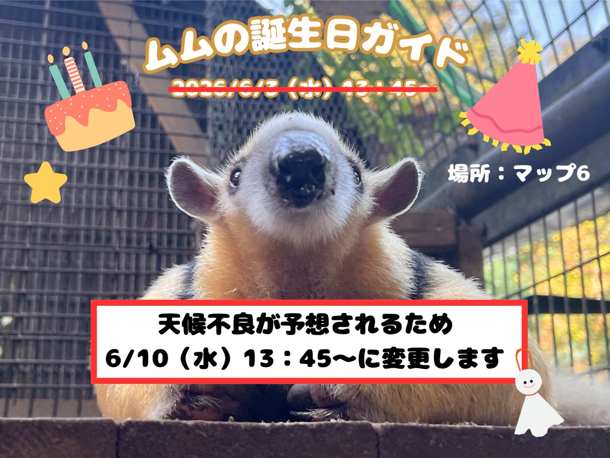 nogeyamazoo401's tweet photo. 6/3（水）の13：45から予定しておりました「 #ミナミコアリクイ の #ムム の誕生日ガイド」は、
天候不良が予想されるため、6/10（水）の13：45からに変更いたします。
新しい日程でのご参加を心よりお待ちしています✨
#FirstZOO #子どもとおでかけ #野毛山動物園 #桜木町 https://t.co/c2MPOIWXO6
