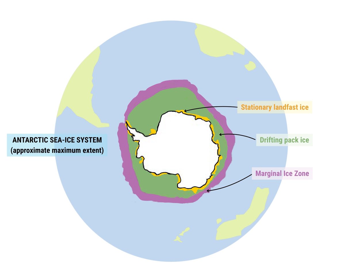 AntarcticSciAus's tweet photo. 🌊 How far do ocean waves reach into Antarctic sea ice?

New research finds ~16% of Antarctic sea ice is wave-affected – changing how we understand a critical component of the Antarctic sea-ice system.

Read more ▶️ https://t.co/nSonFk4SHE https://t.co/ABYmZ9Usr5