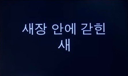 O811_S2's tweet photo. 새장 안에 갇힌 새 https://t.co/lUBlc3YMnB
