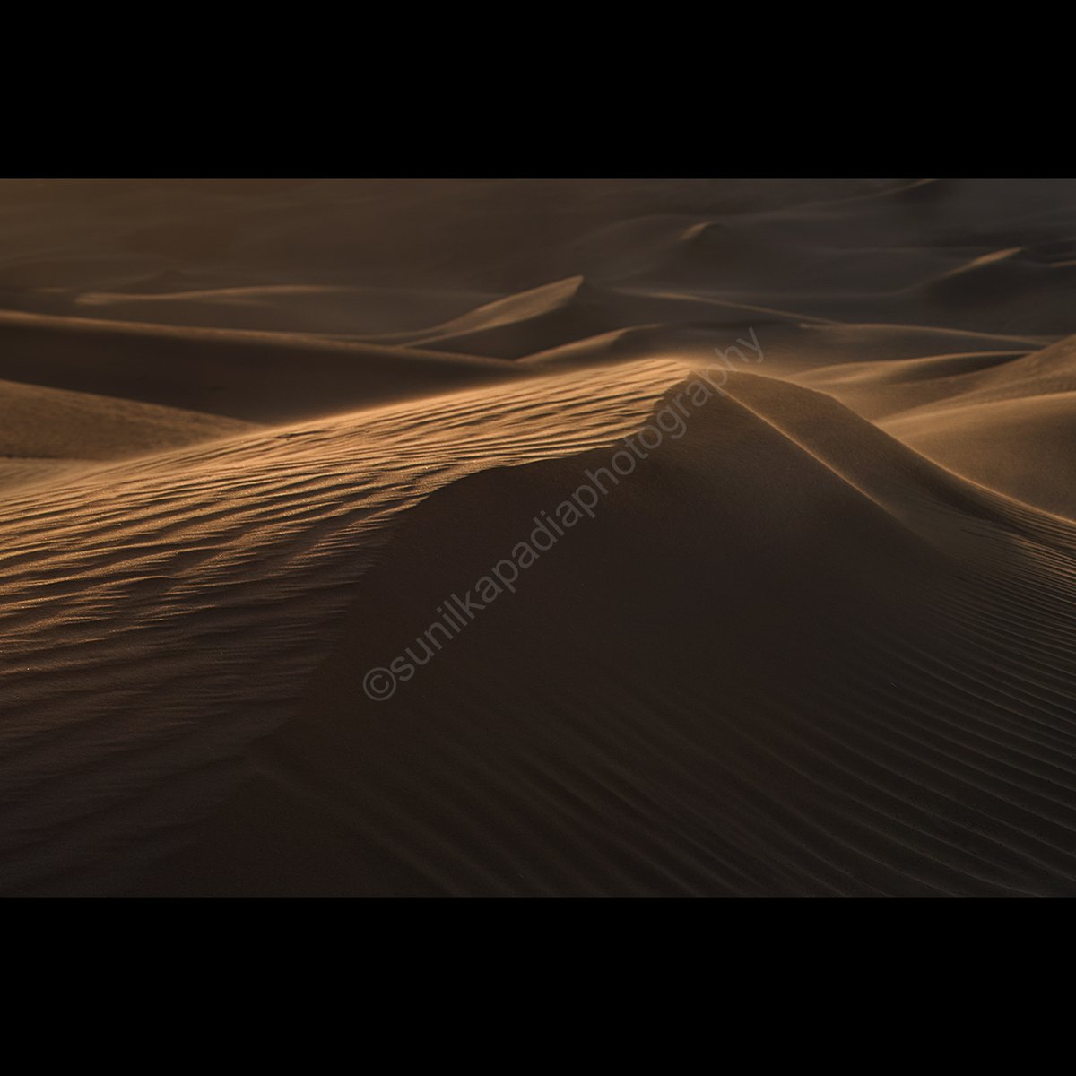 SunilKapadia19's tweet photo. _SSK4996 LIGHT KISSED
Buy This Photo Art Print
#color #colorphotography #sand #dunes #texture #wind #light #kiss #abstract #landscape #landscapehotography #colorlandscape #colorlandscapephotography #desert #patterns #dramatic #Khuri #Jaisalmer #Rajasthan #India #photooftheday https://t.co/VP7TSX7TM5