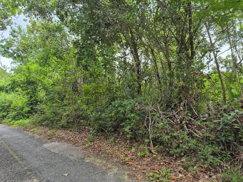 landandlegacyja's tweet photo. LAND · FOR SALE

433 Barry And Lloyds, St. Catherine
135,308 sqft (3.11 acres)
J$5,500,000 (US$34,810)
Mortgage: J$38,061 (US$241) p/m

Link: https://t.co/ZkINpFfVjx

Join our community to stay updated: https://t.co/2IQauZe616 https://t.co/KYTqJHIbBQ