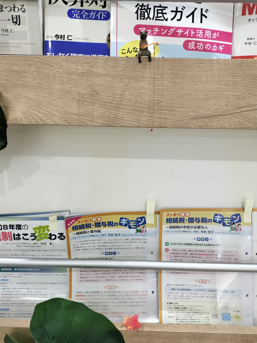 moneyccom's tweet photo. 今日から弊社受付は夏バージョンです。  

今年は、「金魚を釣ろうとしている猫」が皆さまをお出迎えいたします🐱

ご来社の際は、ぜひ受付の猫にもご注目ください‼️

#企業公式春のフォロー祭り #税理士事務所 #夏の装飾 
#猫が好き #季節を楽しむ https://t.co/gKGLLVpOcy