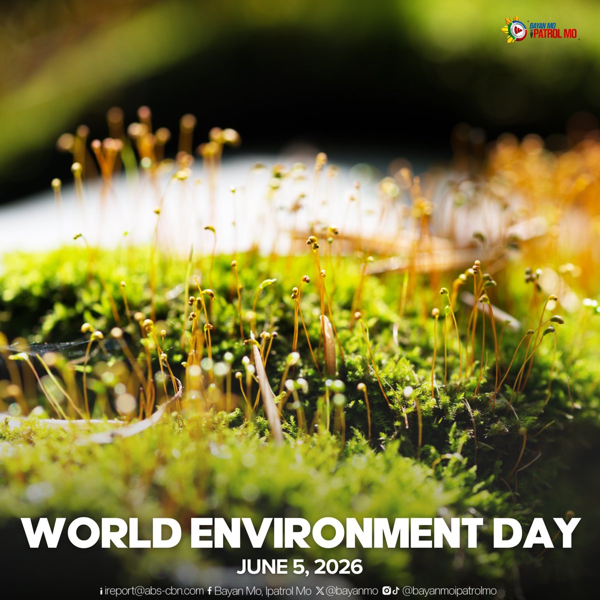 bayanmo's tweet photo. PROTECT WHAT PROTECTS US 🌱

Ipinagdiriwang ang World Environment Day upang hikayatin ang mas malawak na pagkilos laban sa climate change, polusyon, at pagkasira ng kalikasan.

#BMPM https://t.co/MrnNp5yFe2