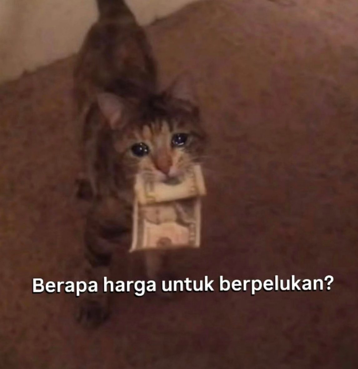 Recehin Aja tweet media