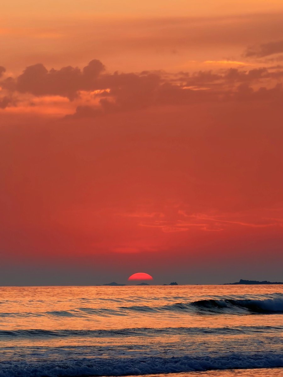 shadesof_nature's tweet photo. https://t.co/DU8GdfglEj