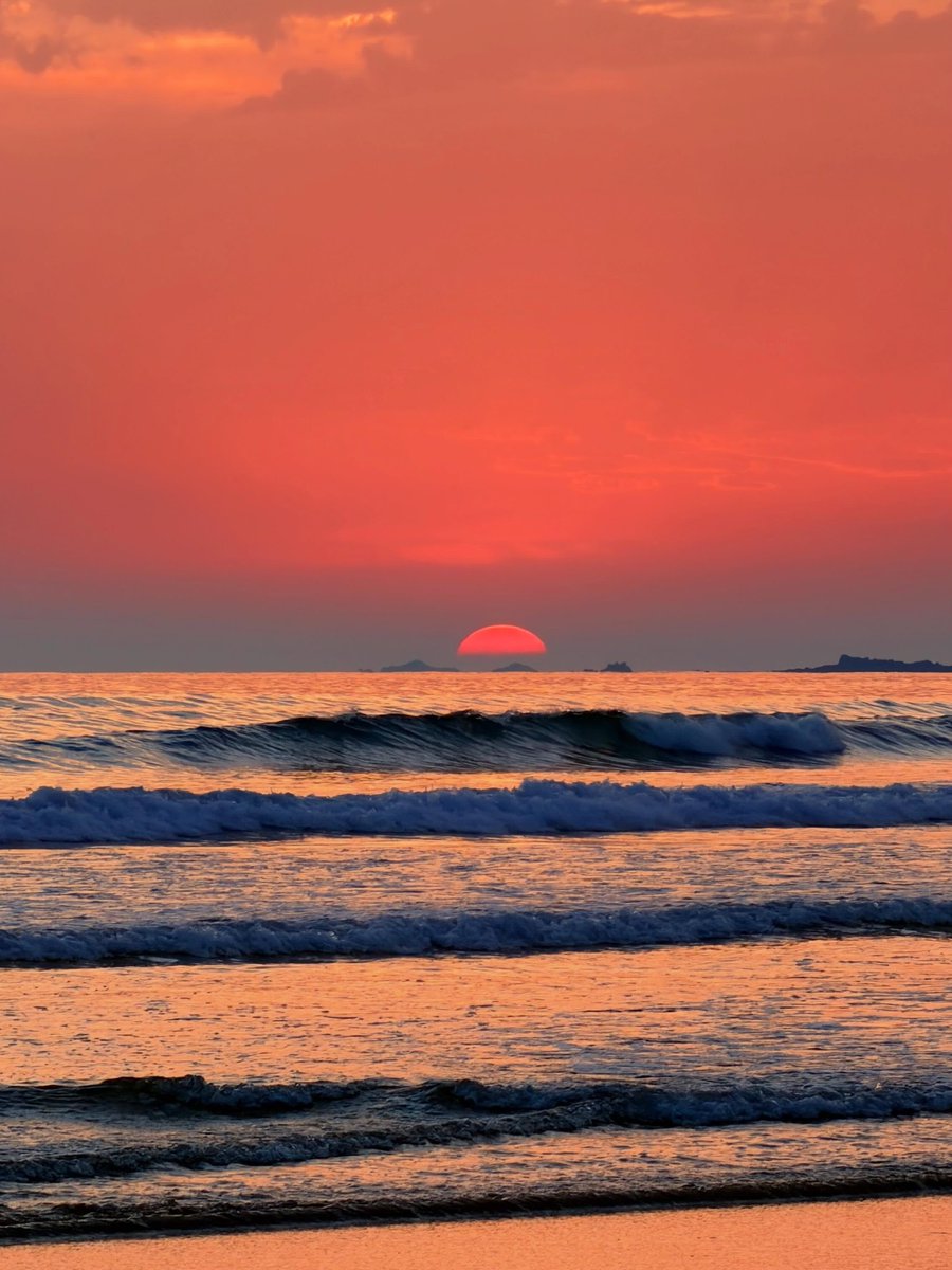 shadesof_nature's tweet photo. https://t.co/DU8GdfglEj