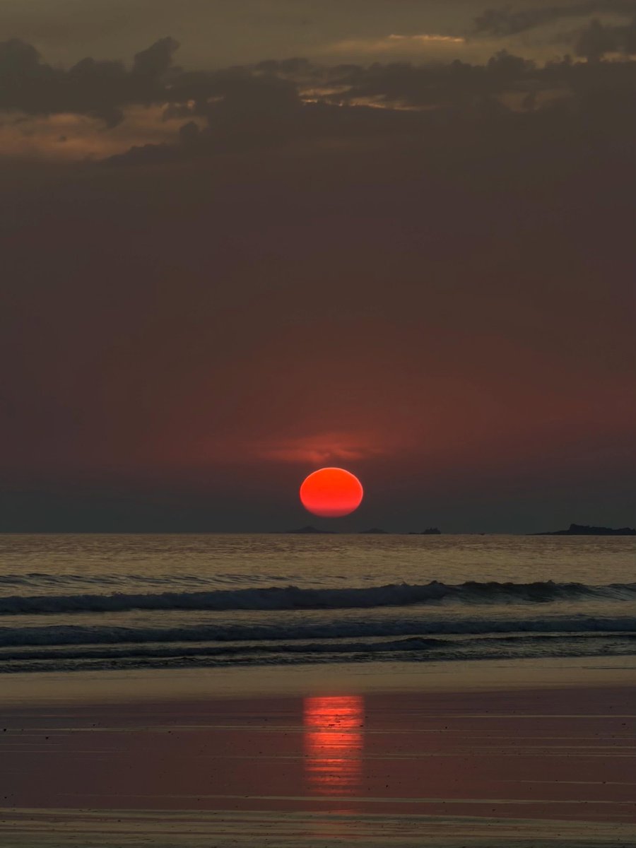shadesof_nature's tweet photo. https://t.co/DU8GdfglEj