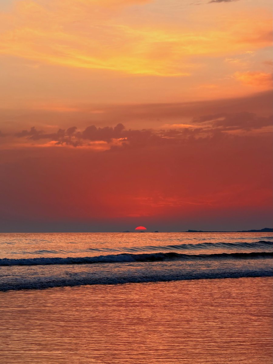 shadesof_nature's tweet photo. https://t.co/DU8GdfglEj