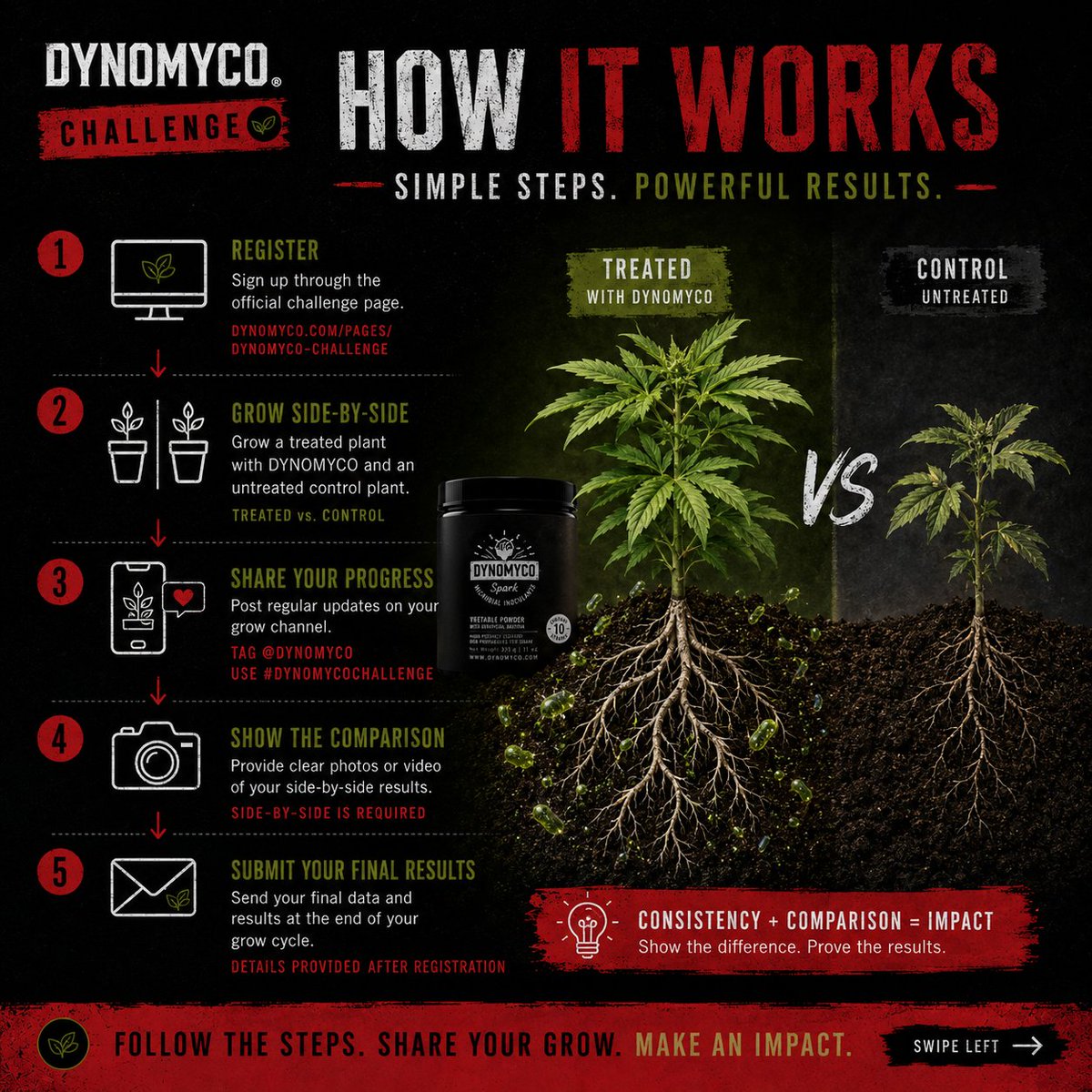 DYNOMYCO's tweet photo. Side by side. Same environment. No excuses.

Track the protocol. Test the roots.

Granular touches roots. Spark moves through water.

#Dynomyco #GrowChallenge https://t.co/bQNKF8w57d