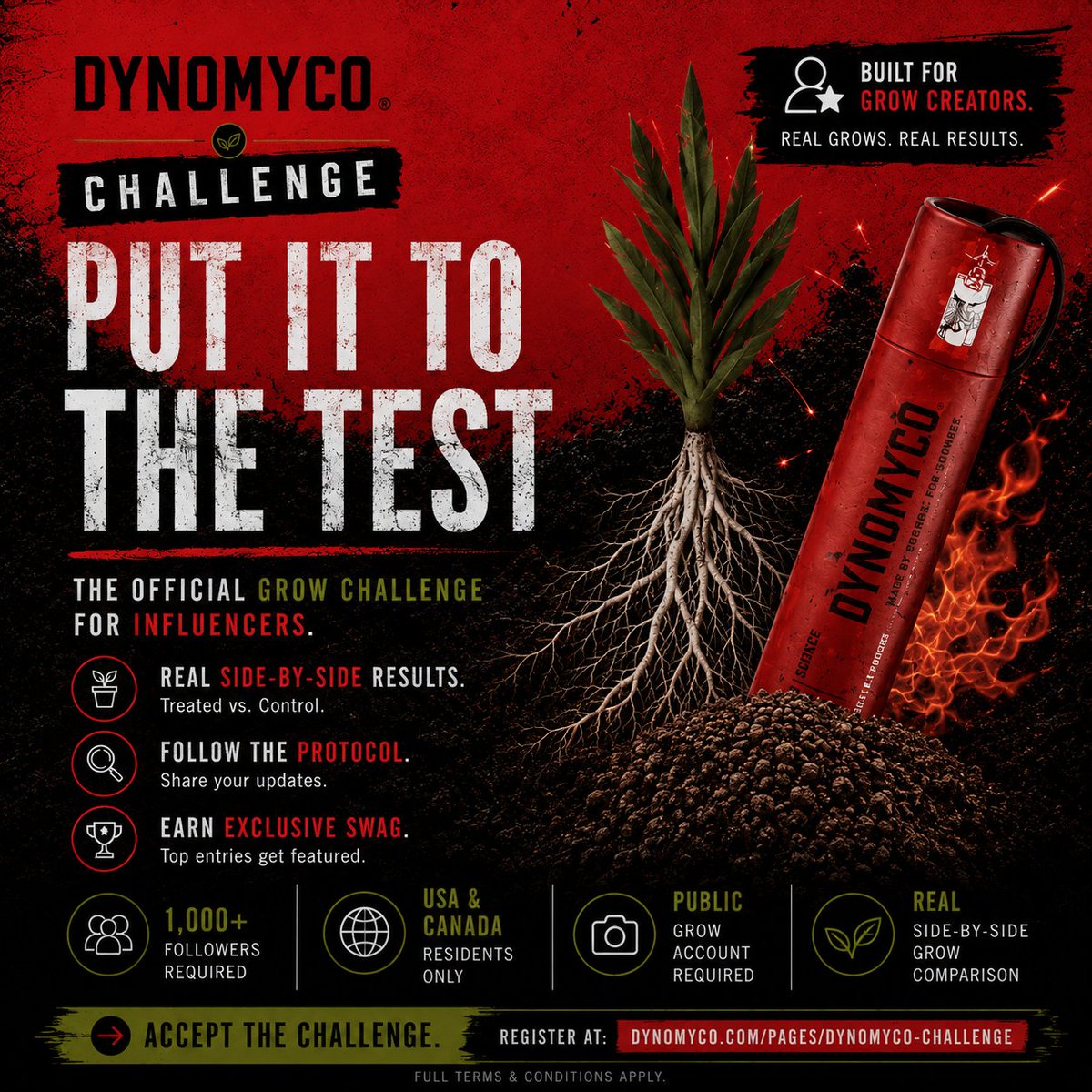 DYNOMYCO's tweet photo. Side by side. Same environment. No excuses.

Track the protocol. Test the roots.

Granular touches roots. Spark moves through water.

#Dynomyco #GrowChallenge https://t.co/bQNKF8w57d