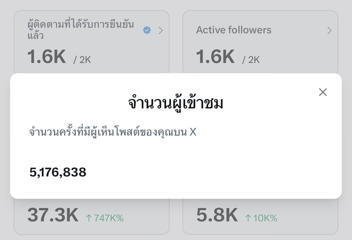 Pibim Cat (พิบิมก็คือแมวจ๋อง) tweet media