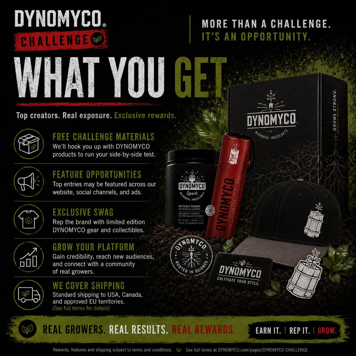 DYNOMYCO's tweet photo. Side by side. Same environment. No excuses.

Track the protocol. Test the roots.

Granular touches roots. Spark moves through water.

#Dynomyco #GrowChallenge https://t.co/bQNKF8w57d