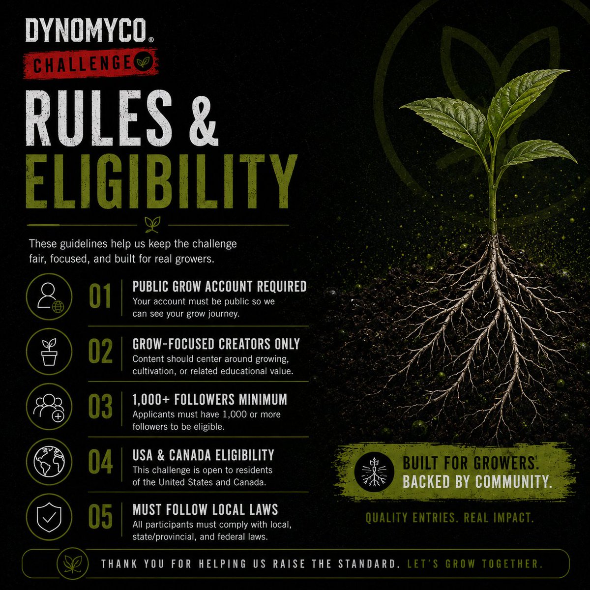DYNOMYCO's tweet photo. Side by side. Same environment. No excuses.

Track the protocol. Test the roots.

Granular touches roots. Spark moves through water.

#Dynomyco #GrowChallenge https://t.co/bQNKF8w57d