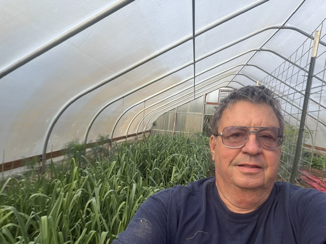 VoteMaxSherman's tweet photo. First food pantry delivery of the season yesterday!

The leeks are thriving, and we’re looking forward to donating even more fresh produce as the garden grows. Many local food pantries are seeing record demand, and we’re grateful for the opportunity to help.

#votemaxsherman https://t.co/qv3c8NDSPK