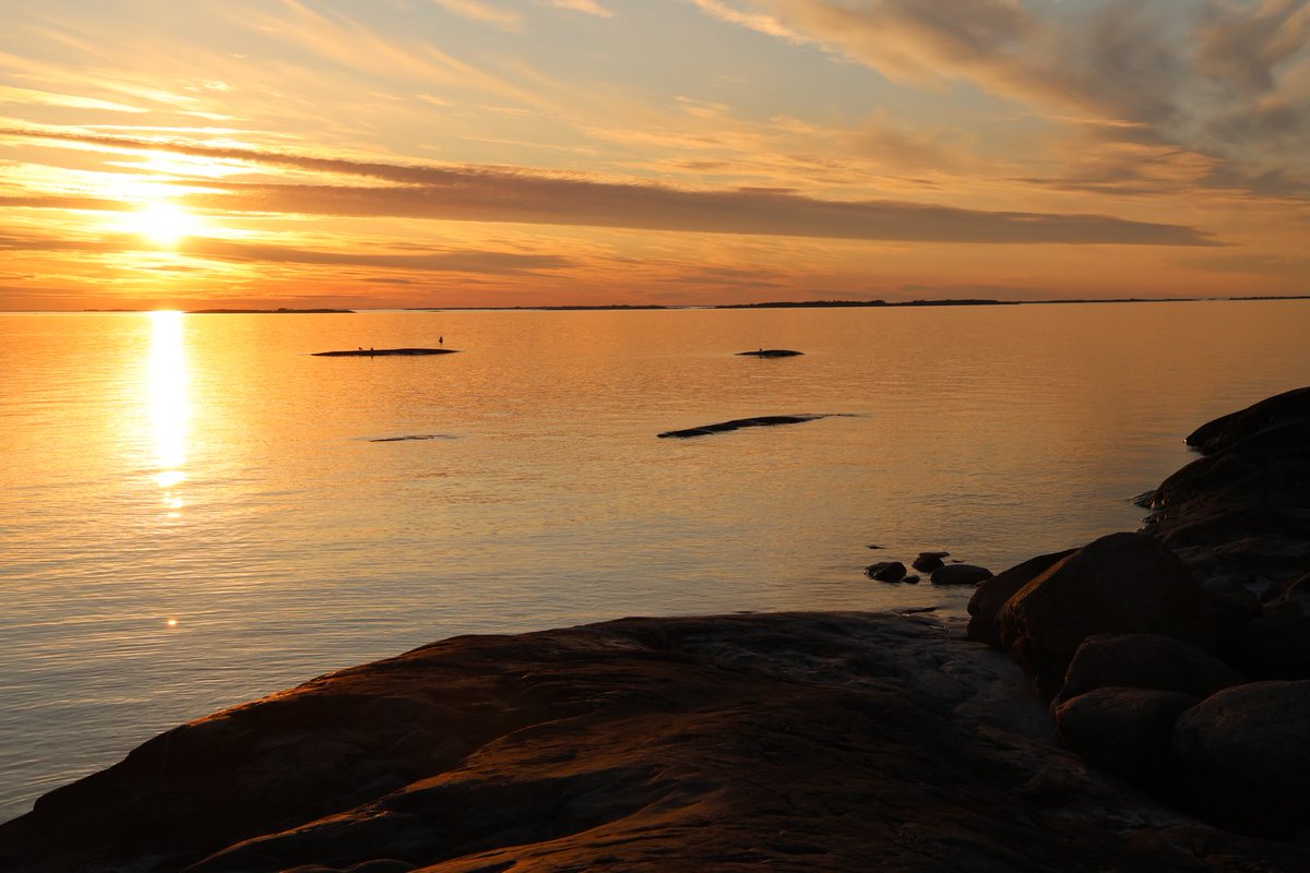 Solero2007's tweet photo. Gult vatten #vårpåminplanet https://t.co/OXF4gps5eL