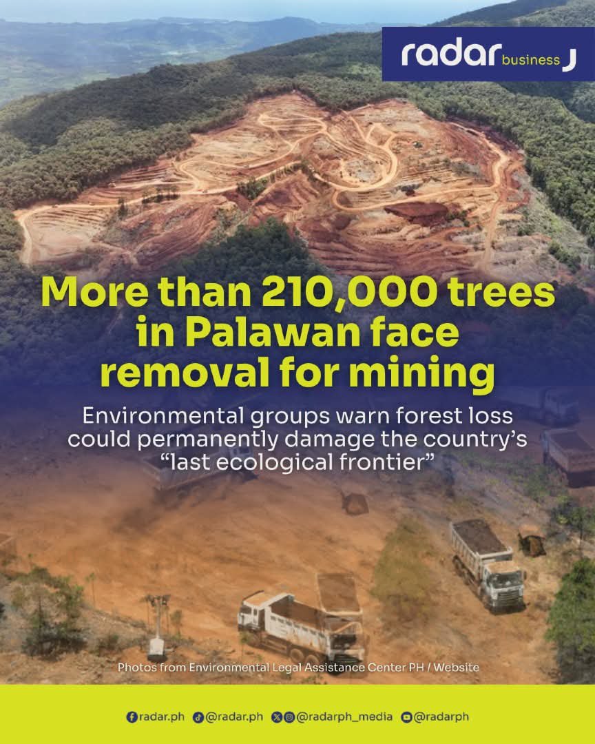 skullohmania's tweet photo. Dubbed as the "last ecological frontier," Palawan is home to some of the largest remaining areas of primary forests in the Philippines. If the @DENROfficial is allowing this massacre to happen, just imagine what it has allowed to happen to the rest of the forests in the country. https://t.co/bOSYiXBFh4