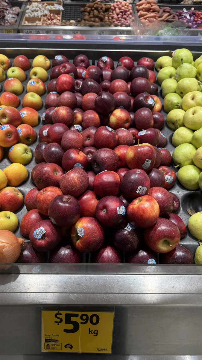 monganggi's tweet photo. 5-6월에 호주오면 제발 브라보사과 드세요🍎
과즙많고 달달함!!!!
새콤사과 아니라 좋음!!! 꼭 브라보로💗💗
요즘 1일 1브라보 하는중🇦🇺🇦🇺 https://t.co/FBU1wP2Yz7