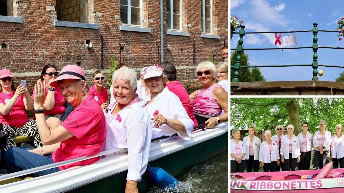 TwitteLIER's tweet photo. GVA : Pink Ribbonettes vieren tien jaar op het water: “We hoeven ons verhaal niet weg te stoppen”: Tien jaar geleden stapten enkele vrouwen met een verleden van borstkanker voor het eerst samen in een boot op de Nete. Vandaag zijn de Pink… https://t.co/S60eKH9K5a #twittelier https://t.co/6o2brCGlu6