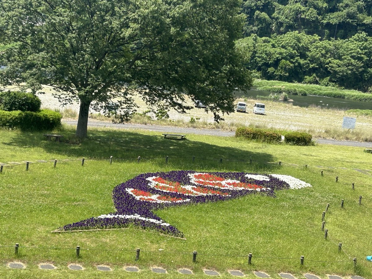 lunch839's tweet photo. 6月1日（月）の『ご当地クイズ・ここはどこですか』の正解は相模原市中央区水郷田名2丁目にある『久所の渡し』でした。大山詣りの人々が相模川の行き来に利用し水上交通の要として鮎漁、鵜飼いで大いに賑わいました。今日は「鮎釣り解禁日」。鮎釣りの人達で賑わってました〜鈴木千景でした https://t.co/y9oyoBhYyF