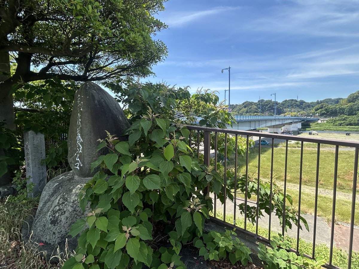 lunch839's tweet photo. 6月1日（月）の『ご当地クイズ・ここはどこですか』の正解は相模原市中央区水郷田名2丁目にある『久所の渡し』でした。大山詣りの人々が相模川の行き来に利用し水上交通の要として鮎漁、鵜飼いで大いに賑わいました。今日は「鮎釣り解禁日」。鮎釣りの人達で賑わってました〜鈴木千景でした https://t.co/y9oyoBhYyF