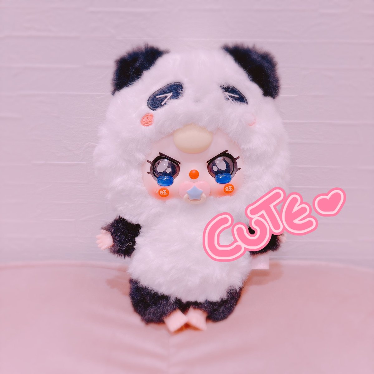 pauchaaan's tweet photo. まるちゃん🐼お家にやってきたワ！ https://t.co/mddSyEJULI