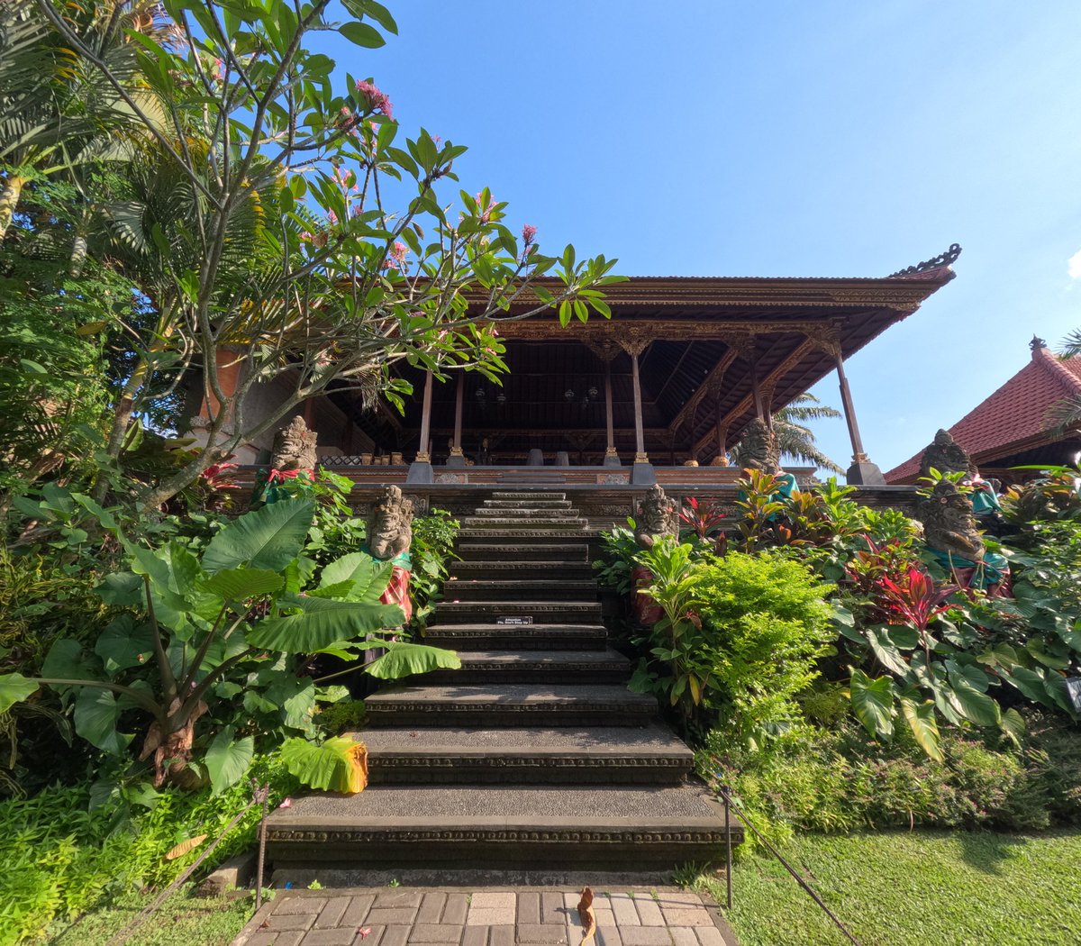 Alee_Cv's tweet photo. Quiero envejecer en Bali. 🌴 https://t.co/eRhyUJjp32