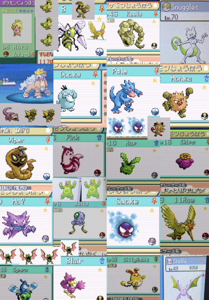 Lizred18's tweet photo. All 37 shinies i found in may a new record for me #ShinyPokemon https://t.co/2bXGa8B7GQ