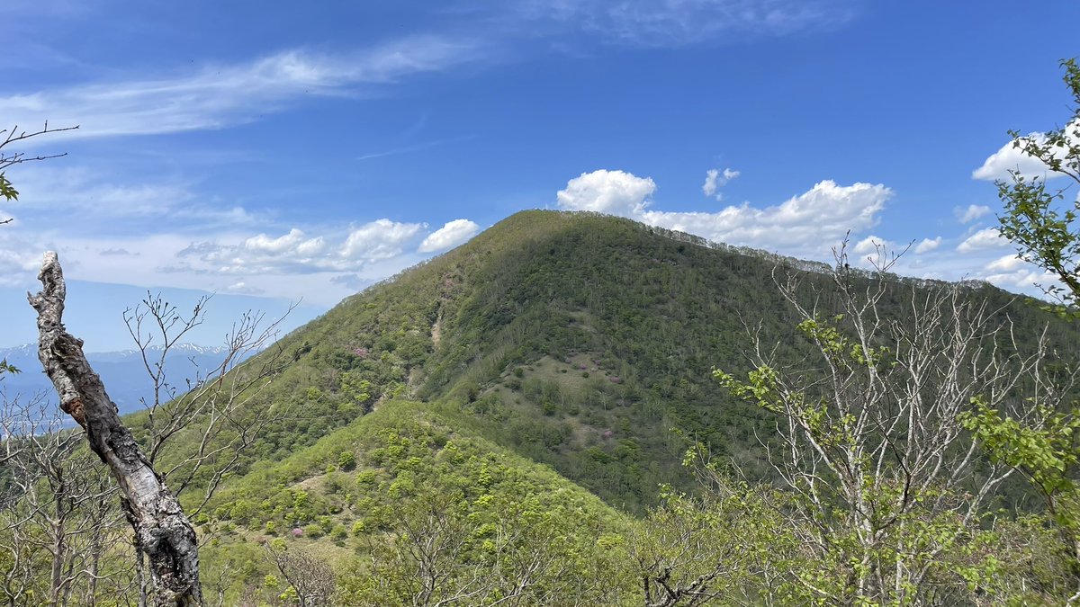 bombomimo's tweet photo. 昨日は赤城山登ってきました
百名山10座目！

先日バズってた道の駅赤城行って海鮮パラダイスしてきたよー！
4人で爆盛り海鮮パーティしたよ🔥 https://t.co/3eoXglBKtr