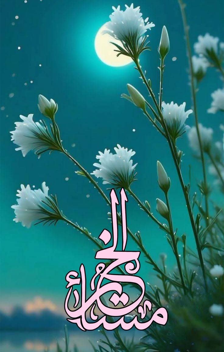 2001_RihaB's tweet photo. مساءٌ تطيب فيه الدعوات، اللهم اجعل لنا في كل لحظةٍ سعادة، وفي كل أمرٍ تيسيراً، وفي كل خطوةٍ توفيقاً، واصرف عنا ما لا نعلم أنه شرٌ لنا، واكتب لنا الخير أينما كان ثم أرضِنا به.

#مساء_الخير https://t.co/cGR9p5Ud0z